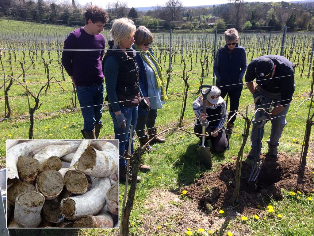 People in Albury Vineyard