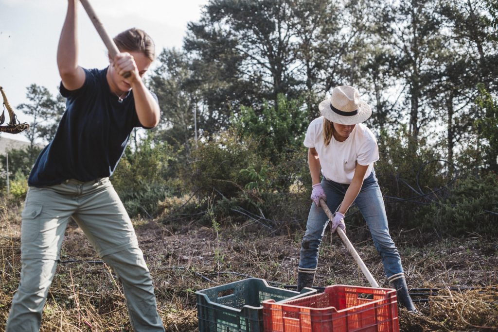 Patagonia's regenerative organic campaign | in the fields in Spain | Photo: Andrew Schoneberger