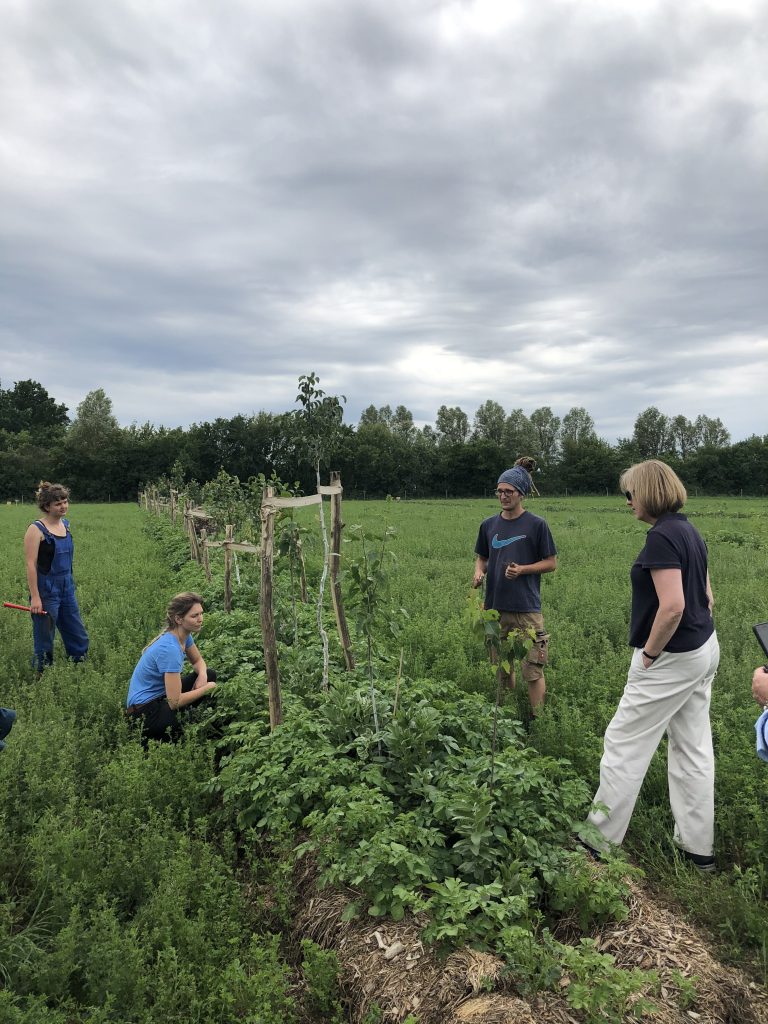 Regenerative organic farming | Gut & Bösel