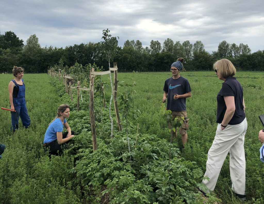 Regenerative organic farming | Gut & Bösel