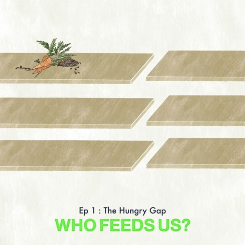 Who Feeds Us? podcast | Episode 1 | The Hungry Gap