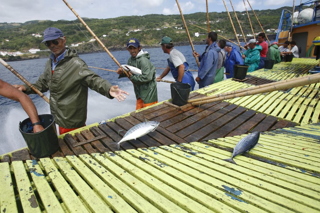 Azores fishing