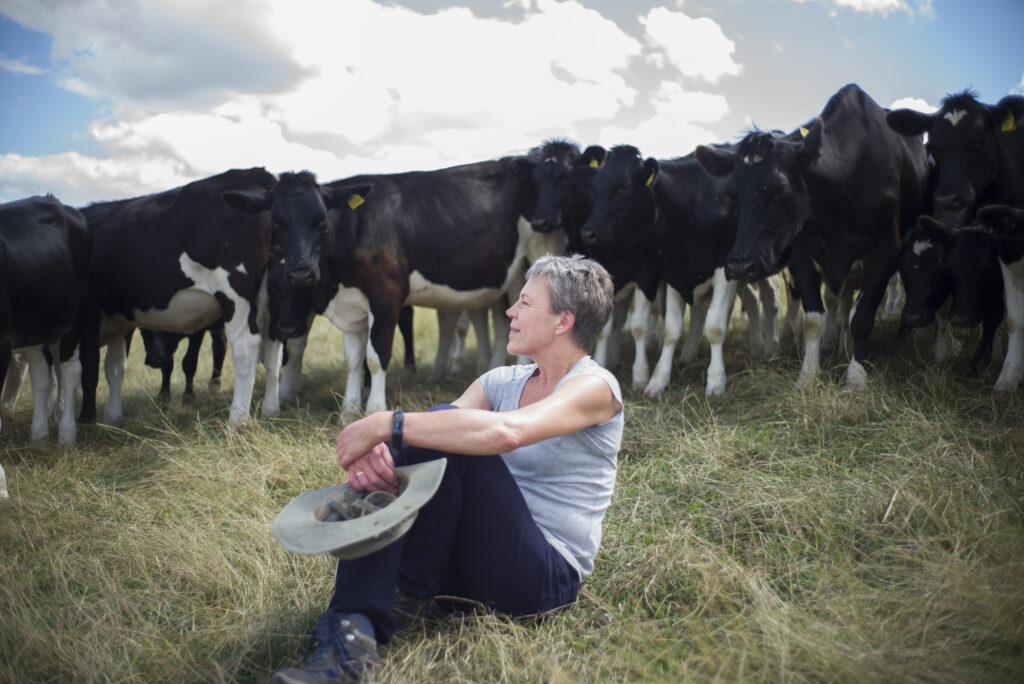 Helen Browning in field with cows