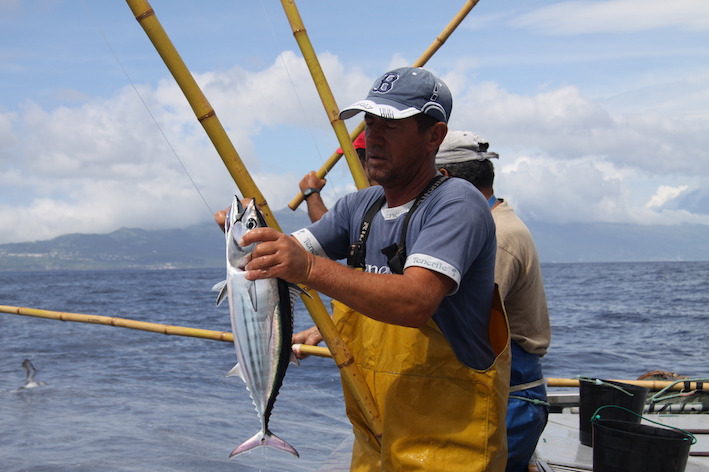 Tuna Fishing Azores