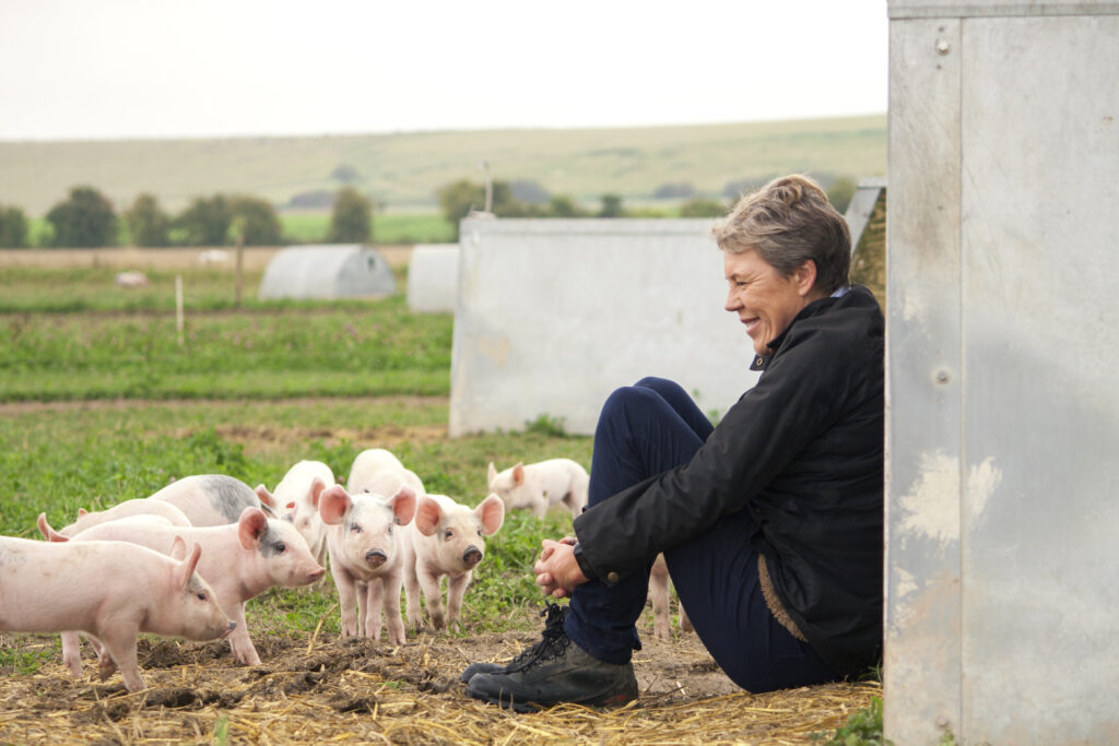 Free range pigs with farmer Helen Browning