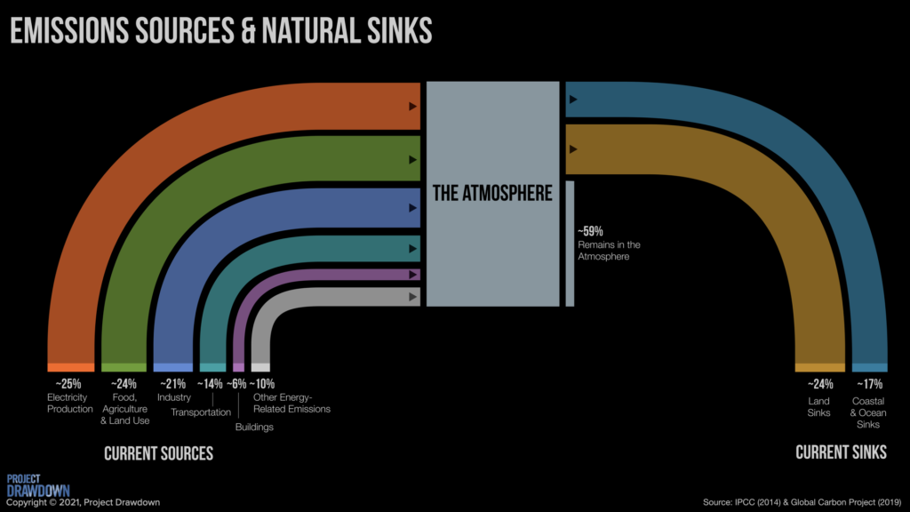 Natures natural carbon sinks: Land and ocean