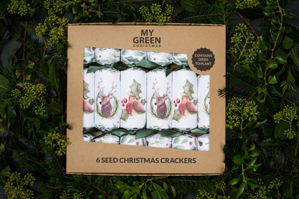 My Green Christmas seed crackers