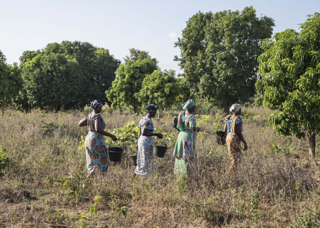 Fairtrade shea butter production female workers