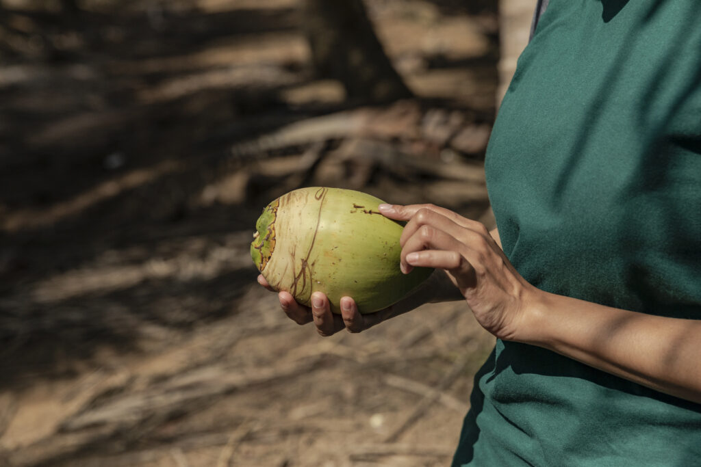 Coconut | natural anti-ageing ingredients in beauty products