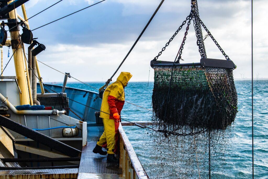 Industrial fishing boat