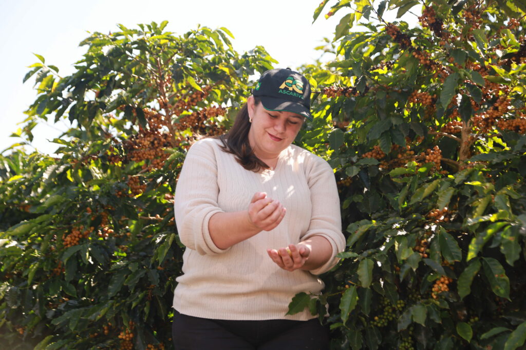 Farmer picking coffee | The Ascarive co-operative in Brazil | Fairtrade coffee brands