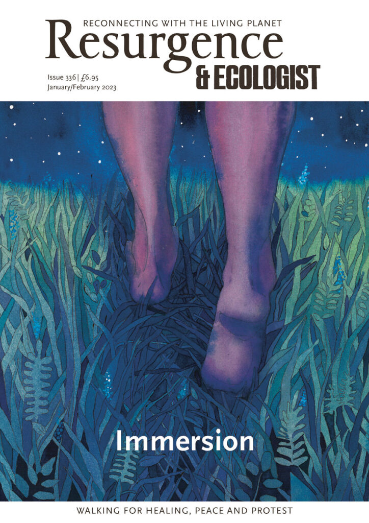 Resurgence & Ecologist Magazine 