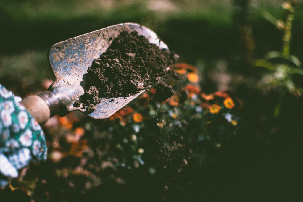 Scooping up soil | New Year's resolutions