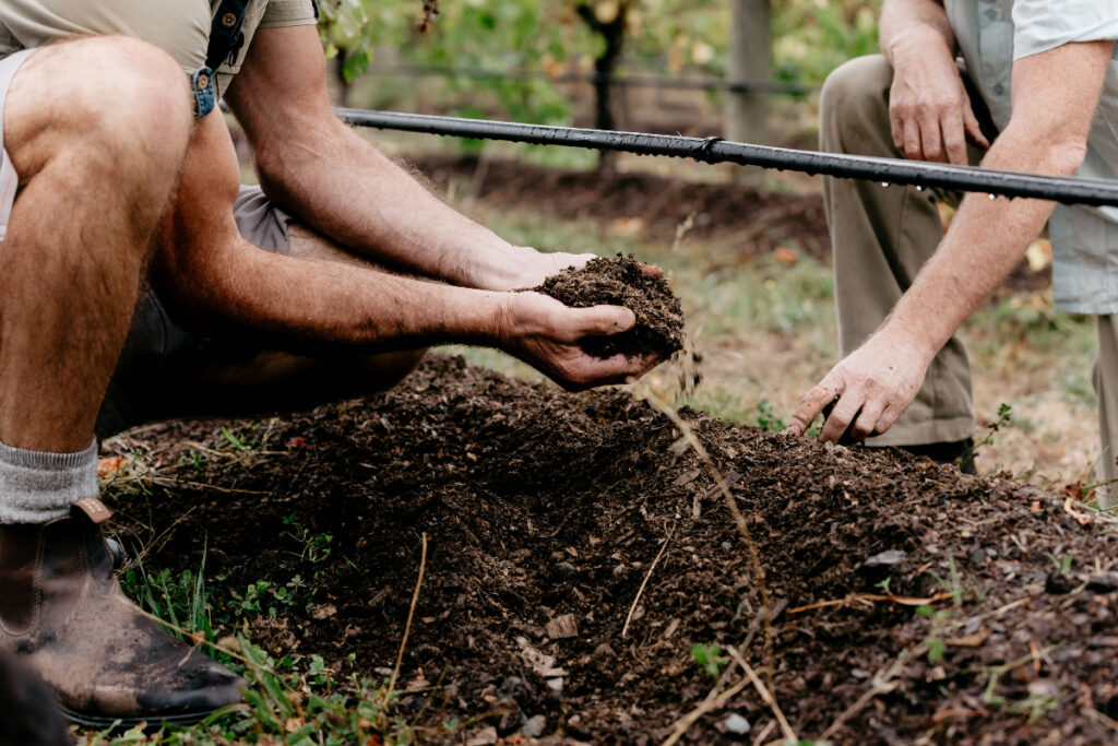 Babich Wines soil