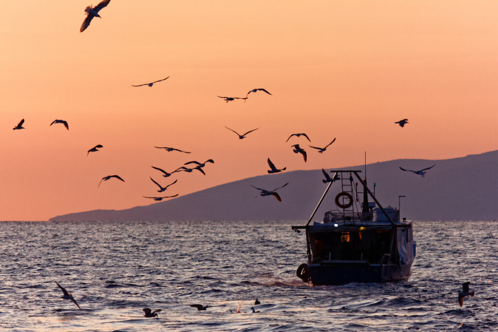 Fishing boat out at sea at sunset